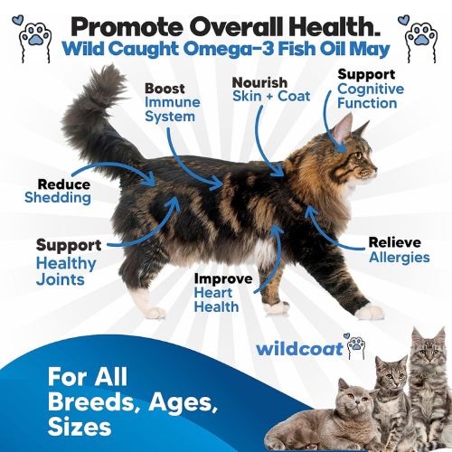 Wild Coat™ l Fish Oil for Cats
