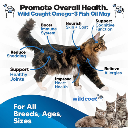 Wild Coat™ l Fish Oil for Cats